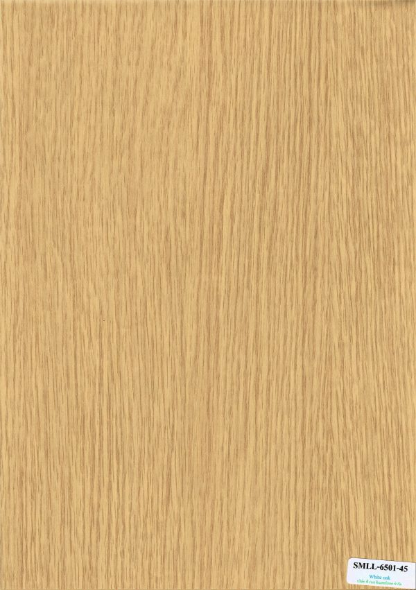 LEAD Technologies Inc. V1.01