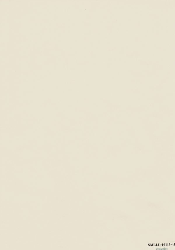 SMLL-10113-45